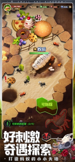 小小蚁国