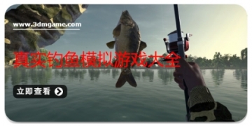 真实钓鱼模拟游戏大全
